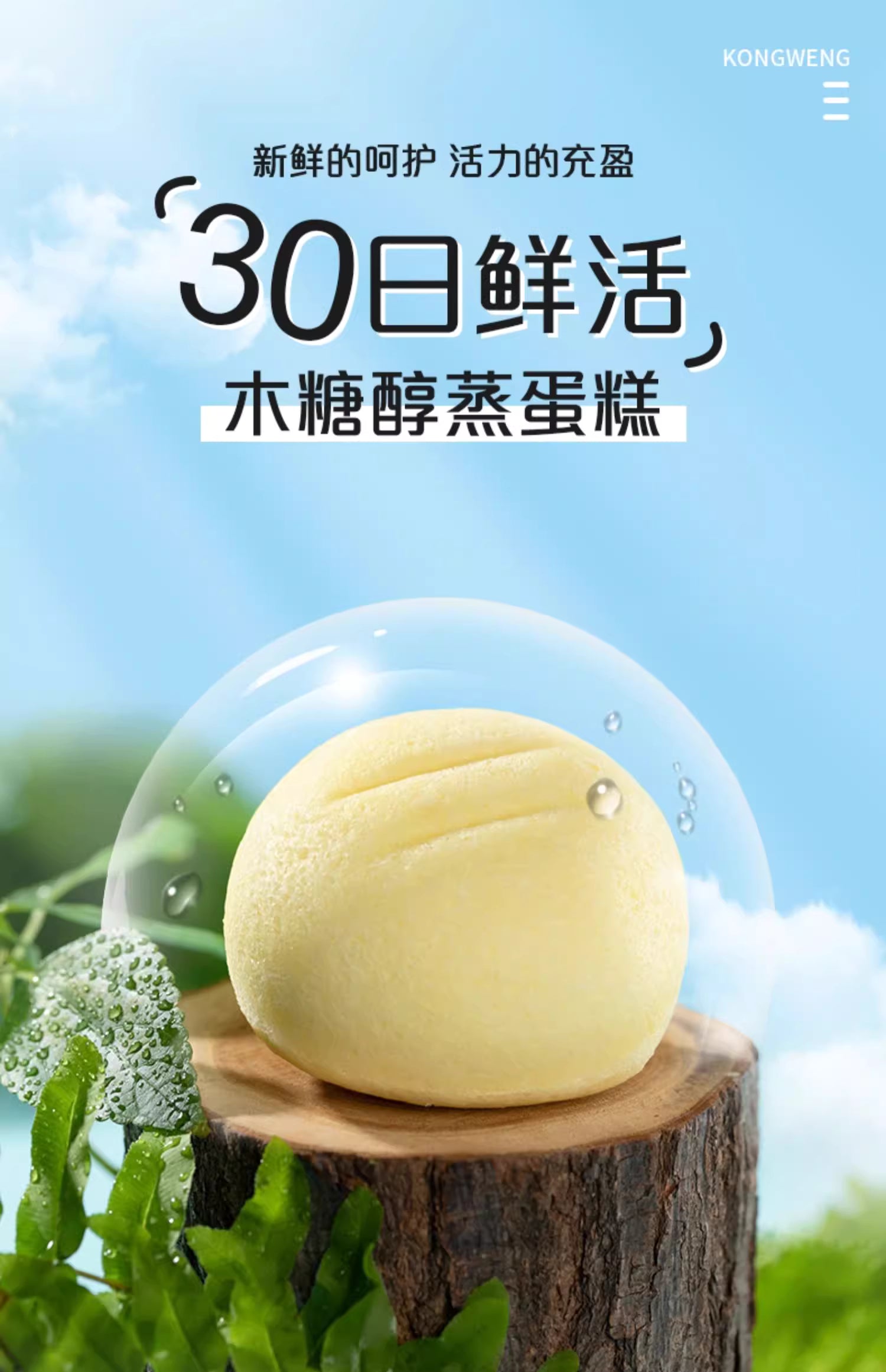 KONGWENG Xylitol Steamed Cake – No Added Sugar, Low Glycemic, Soft & Fluffy Delight