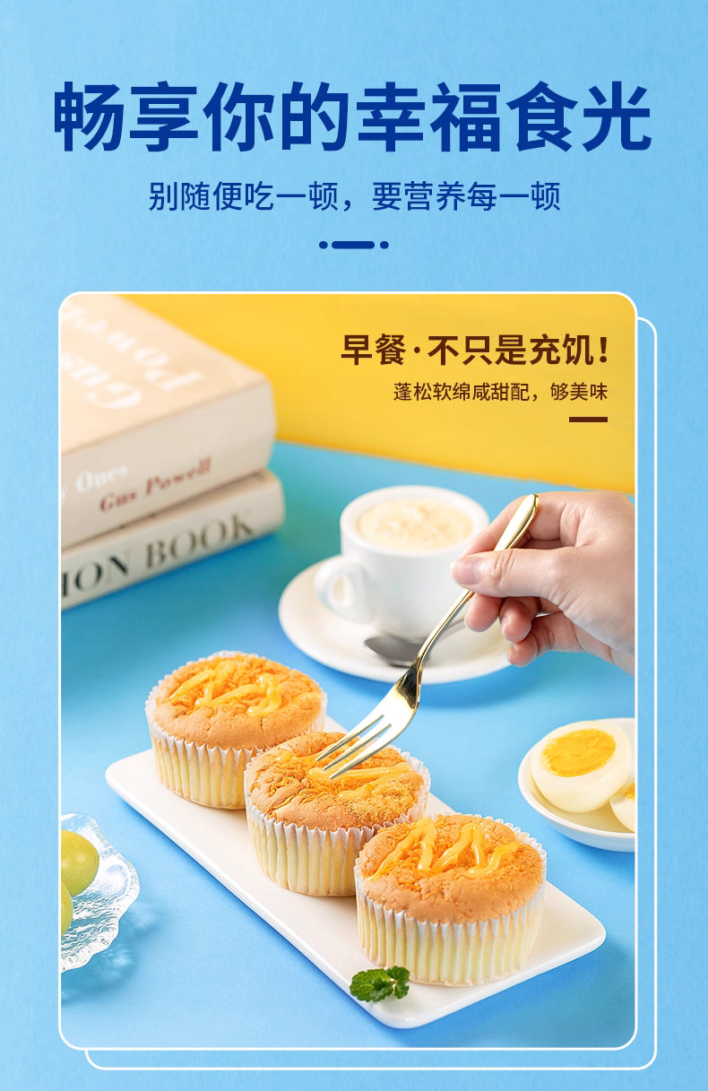 KONGWENG Savory Chiffon Cake with Cheese Sauce & Pork Floss – Soft, Fluffy & Umami-Rich